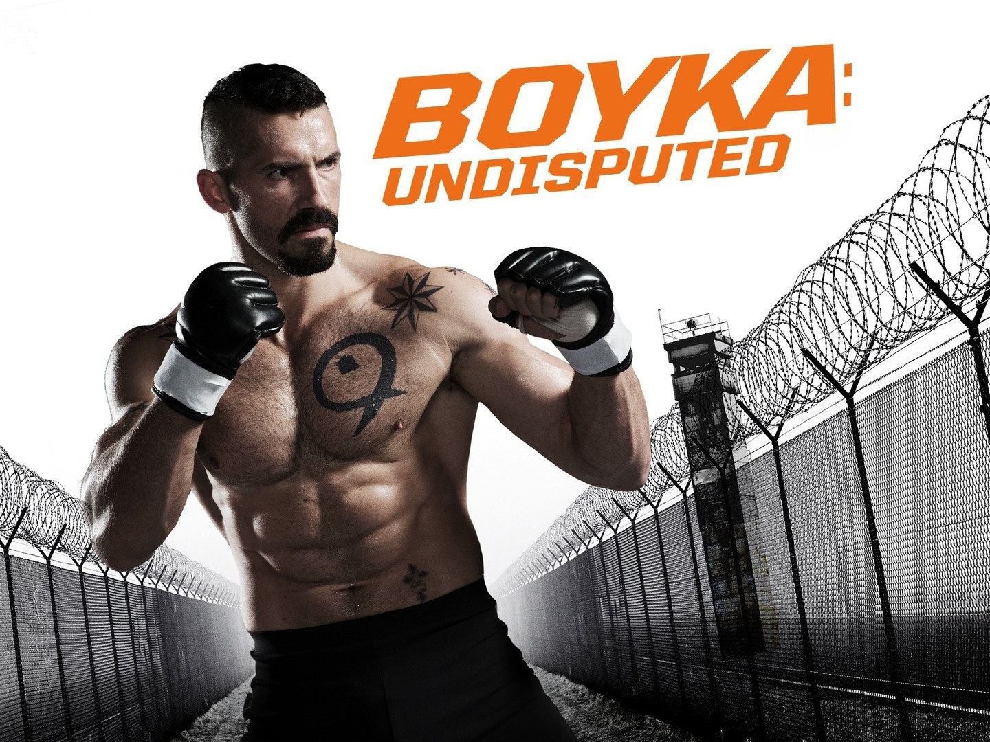 HD boyka wallpapers | Peakpx